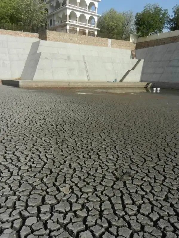 rescuing-water-animals-from-the-drying-out-talab-in-jadan-ashram bodyImage